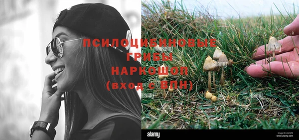 ECSTASY Зеленокумск