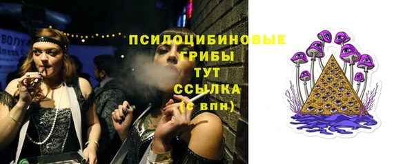 тгк Заволжск