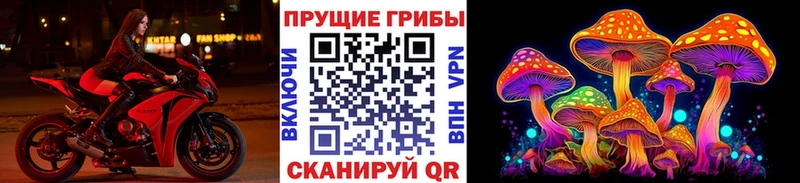 Галлюциногенные грибы мицелий  Купить  Жуков 